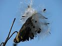 2008-10-11_Tiverton_Trustom 071